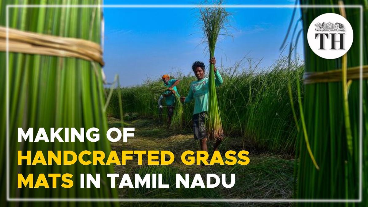 Watch Making of handcrafted ‘korai’ grass mats in Tamil Nadu The Hindu